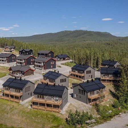 Parkstigens Fjaellby - Kavan Фунесдален Экстерьер фото